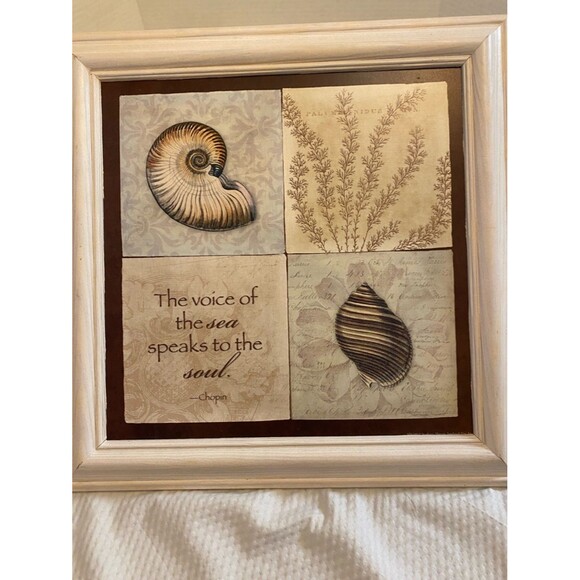 Other - Stephanie Marrott Sea Shell Wall Art - with a Quote from Chopin